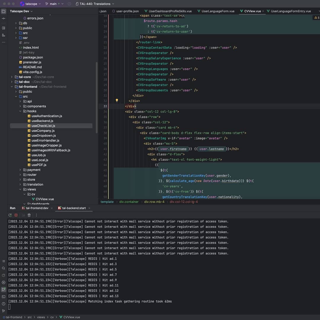 Screenshot Webentwicklung Software